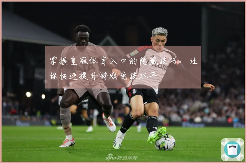 掌握皇冠体育入口的隐藏技巧，让你快速提升游戏竞技水平